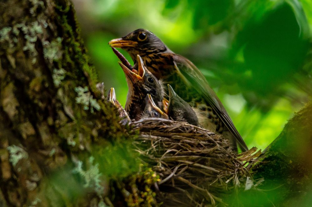 Photograph by Владислав Лопатов