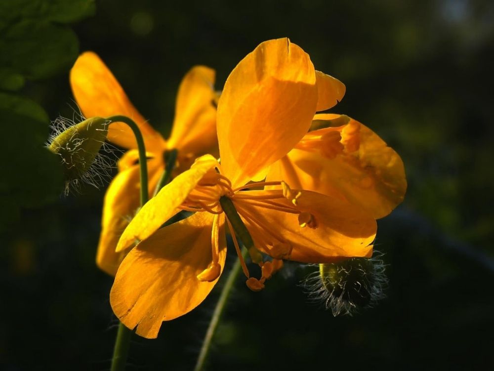 Фотография автора Роман Савоцкий