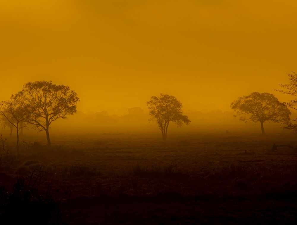 Photograph by Anantharajha Manoj