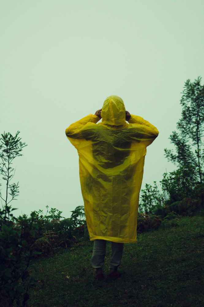 Photograph by Muhammed Junaid A P