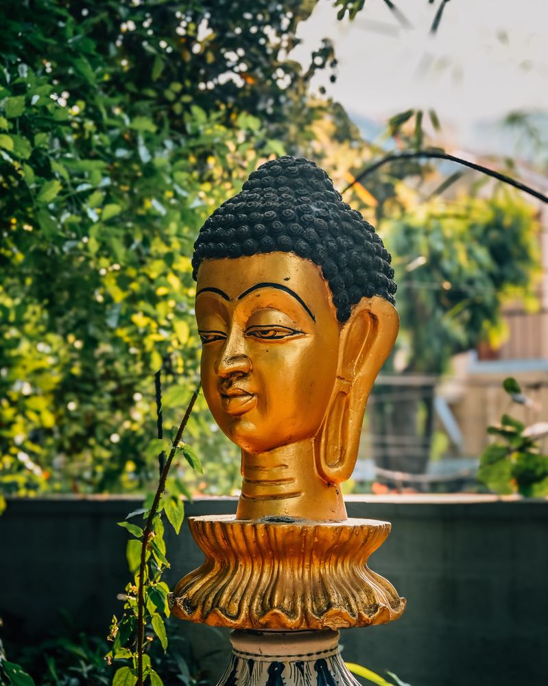 Photograph by Muhammed Junaid A P