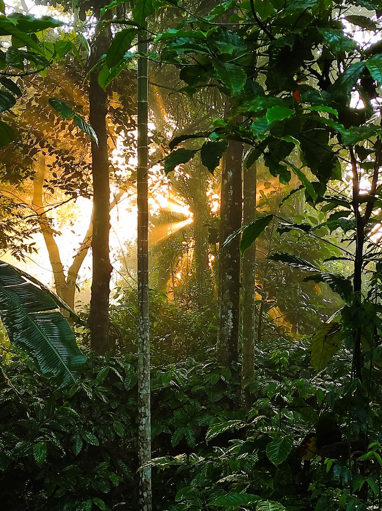 Photograph by Muhammed Junaid A P