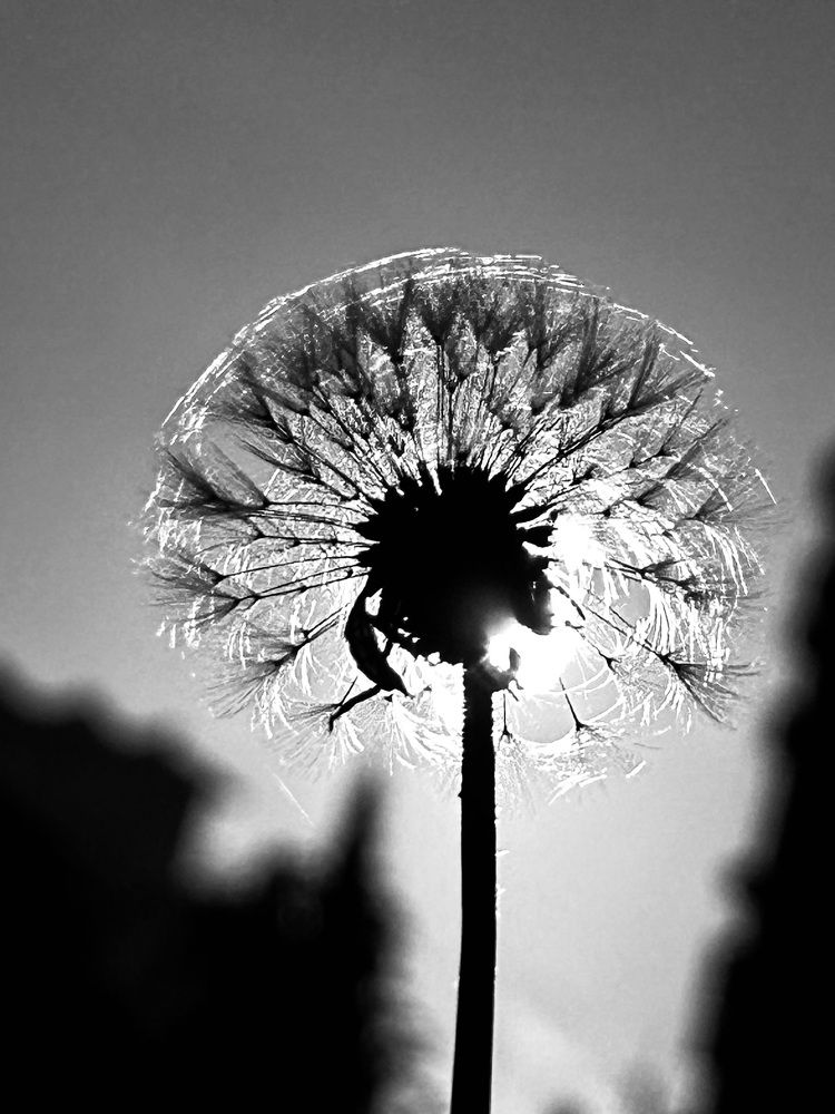 Photograph by Светлана Соколова