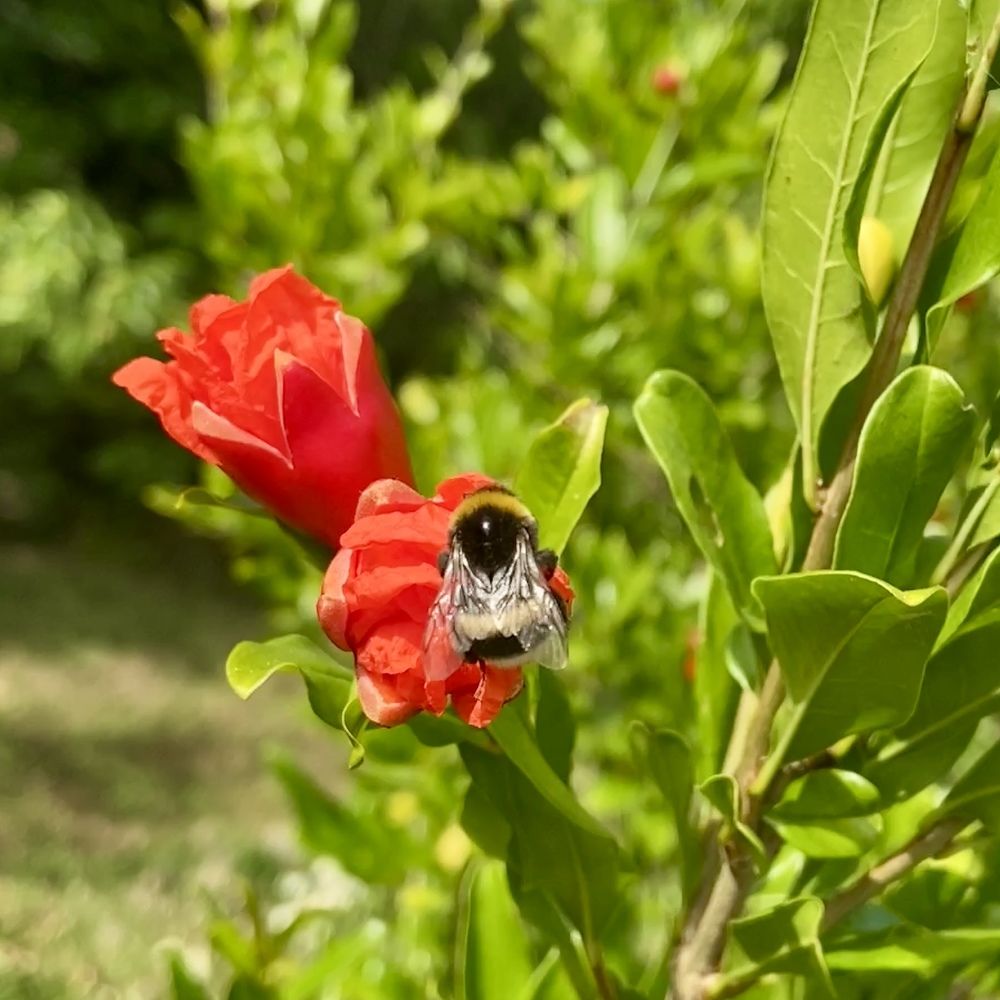 Photograph by Александр Шеин