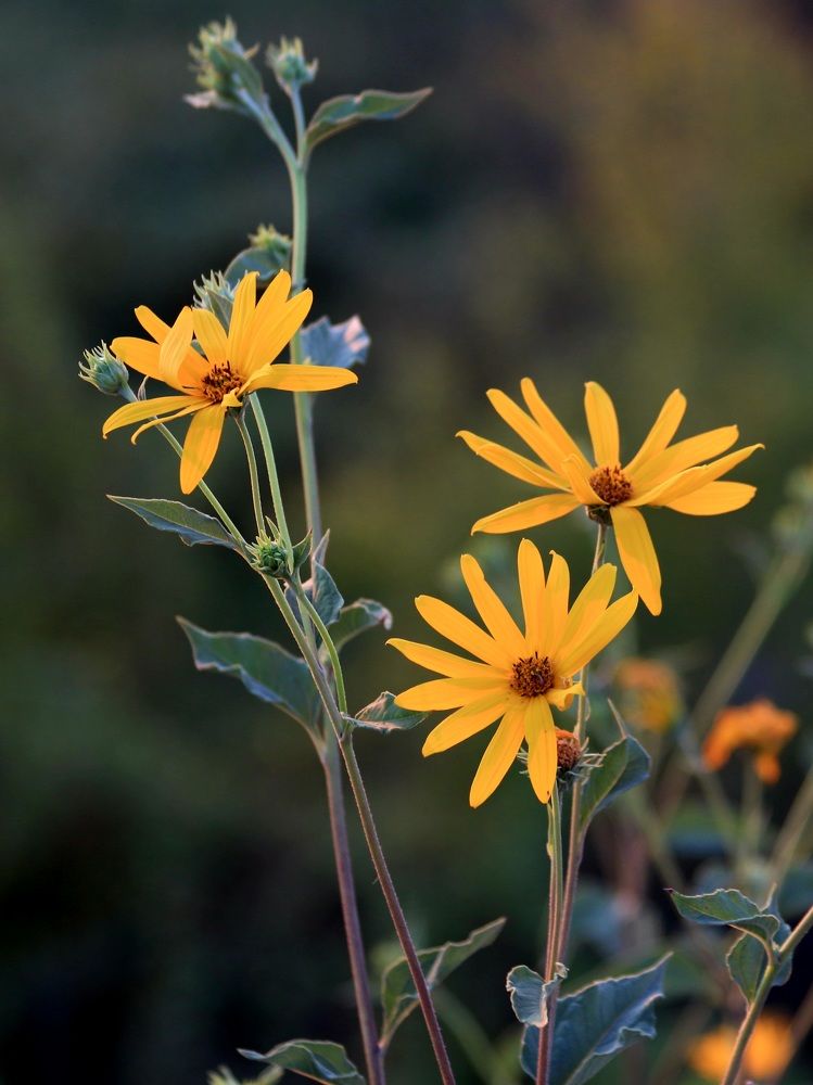 Photograph by Андрей Хитрун
