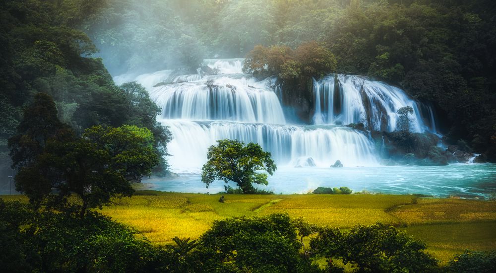 Фотография автора Dũng Mạnh Nguyễn