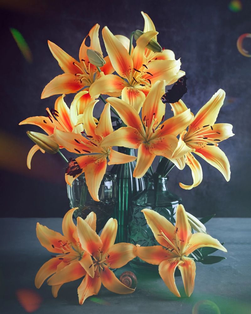 Photograph by Юлия Яремко