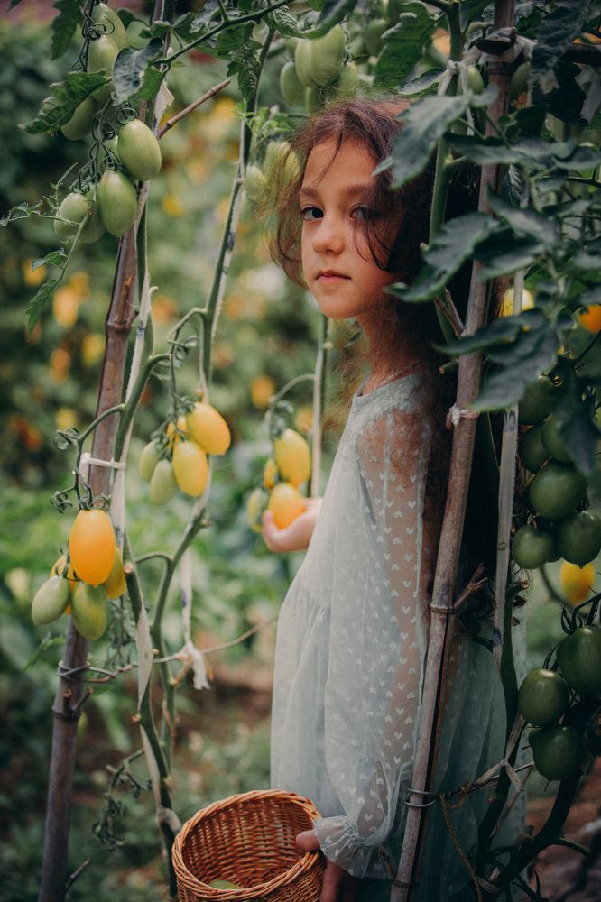 Фотография автора Вазген Бояджян