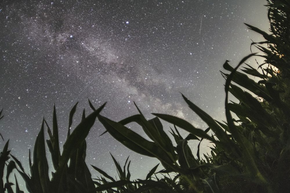 Фотография автора Геннадий Войтов