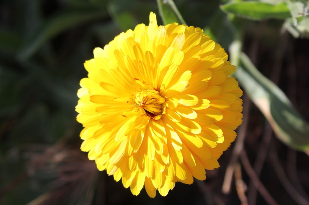 Photograph by Елена Калганова