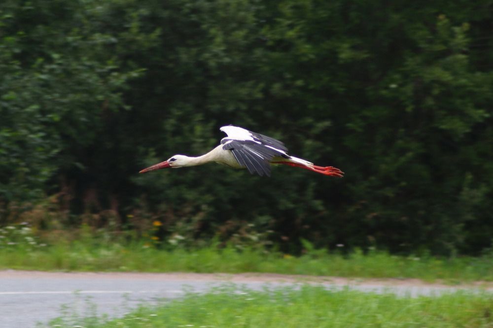 Photograph by Елена Наленч