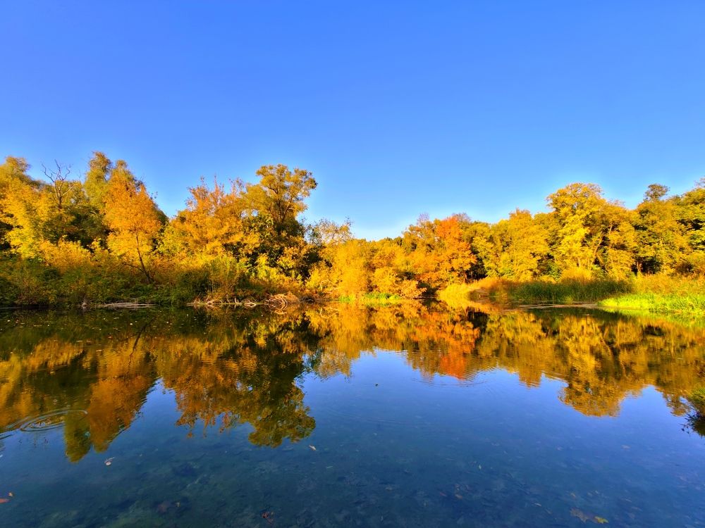 Photograph by Kate Maximenko