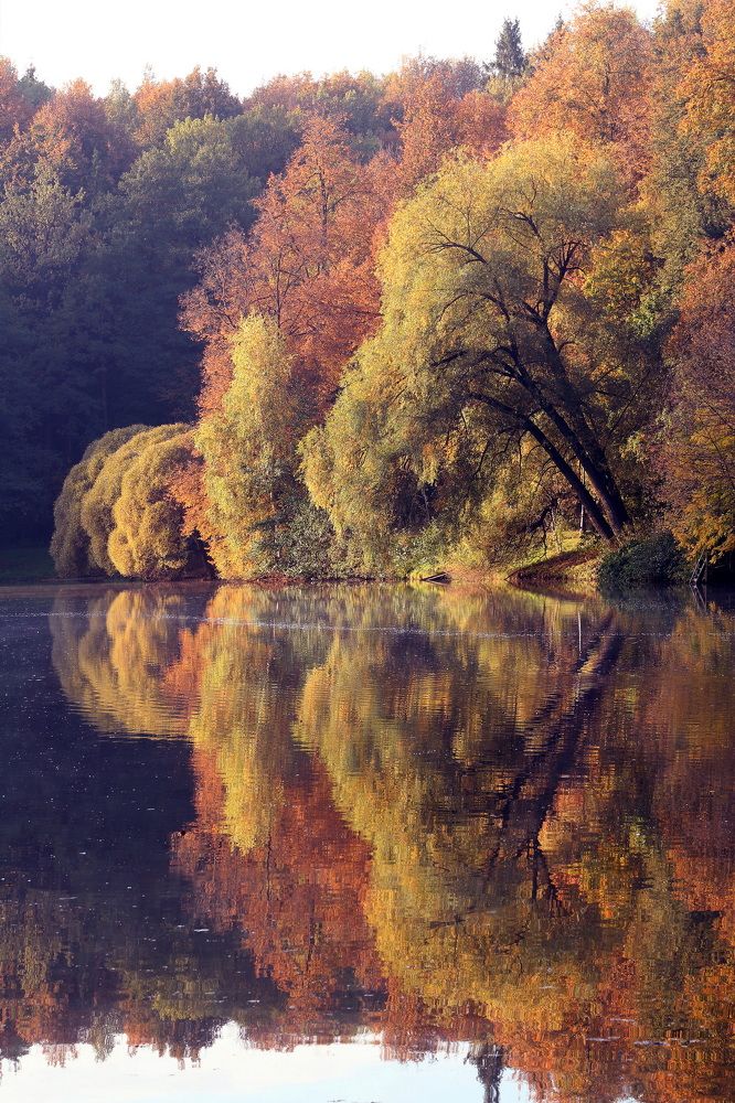 Photograph by Бибичков Михаил