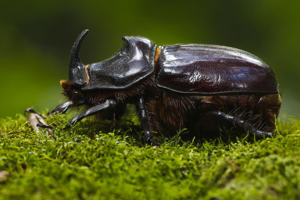 Photograph by Александр Ермаченко