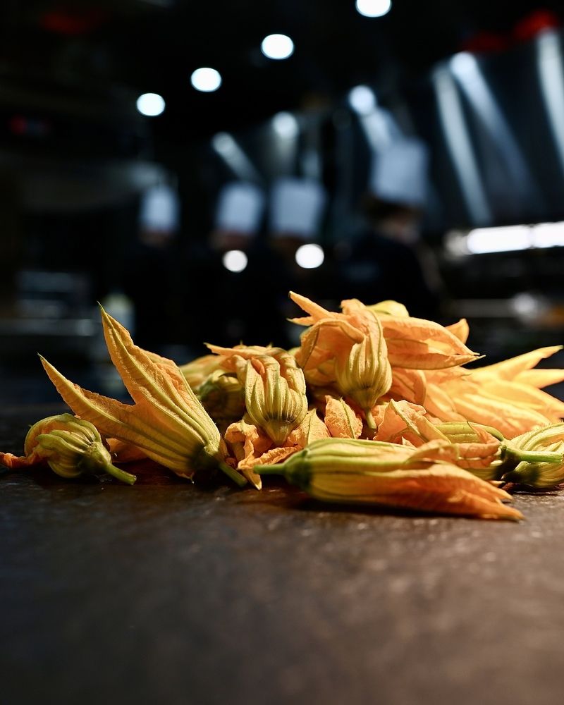 Цветы цукини