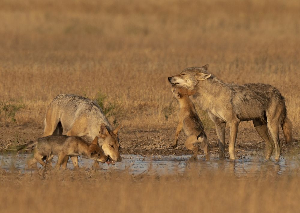 Photograph by Владимир Цветов