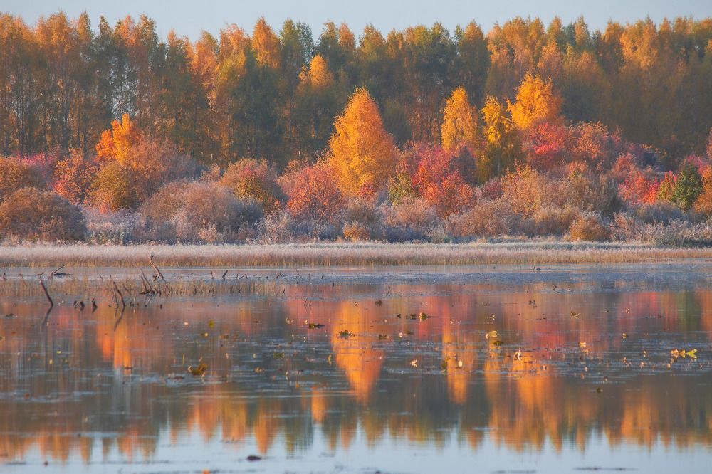 Photograph by Вячеслав Шуплецов