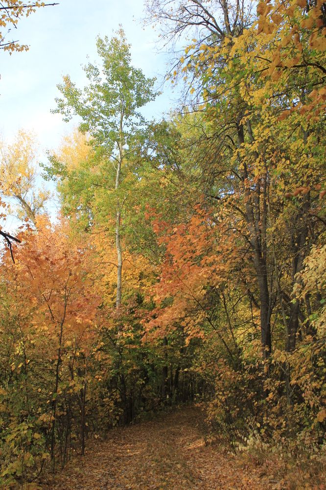 Photograph by Елена Калганова