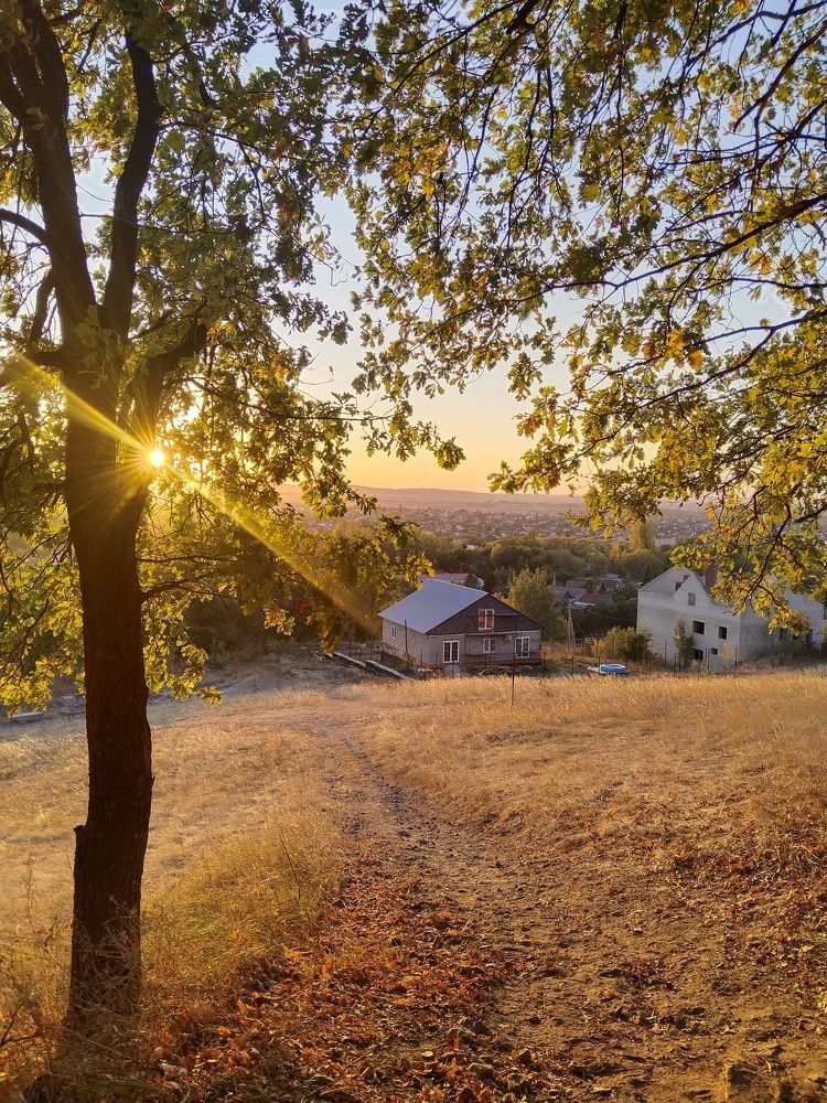 Photograph by Ольга Чернова