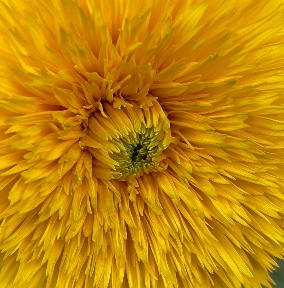 Photograph by Татьяна Раковская