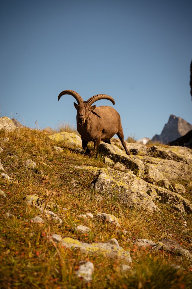 Photograph by Изабелла