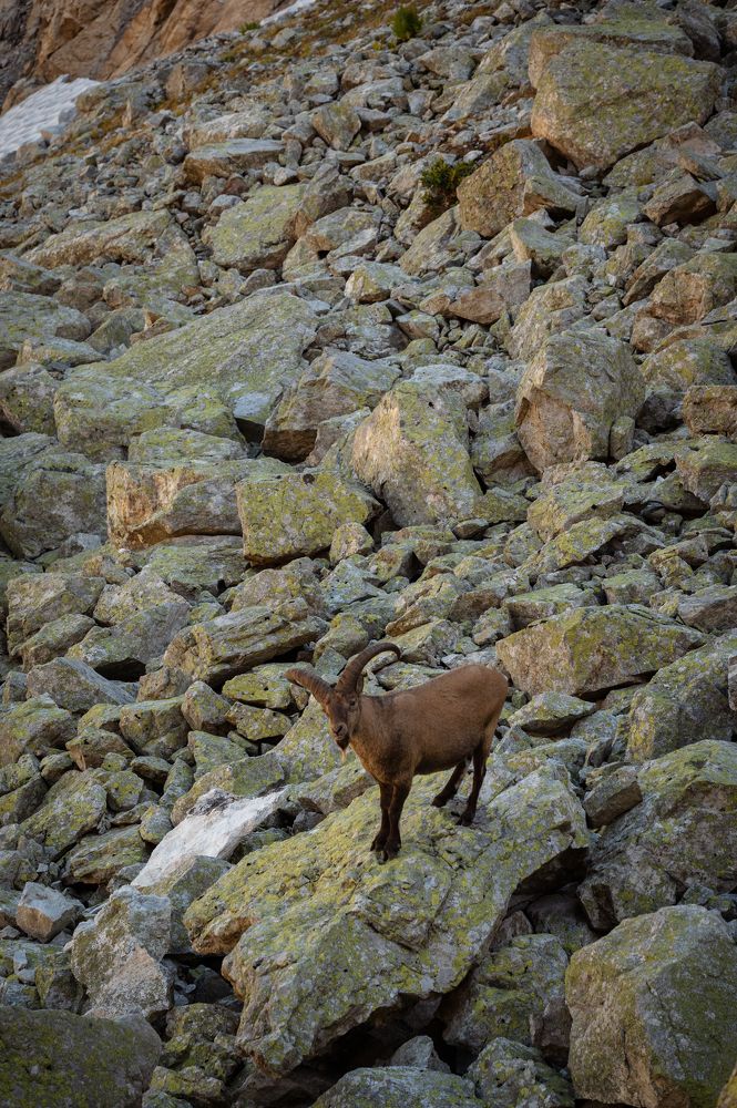 Photograph by Изабелла