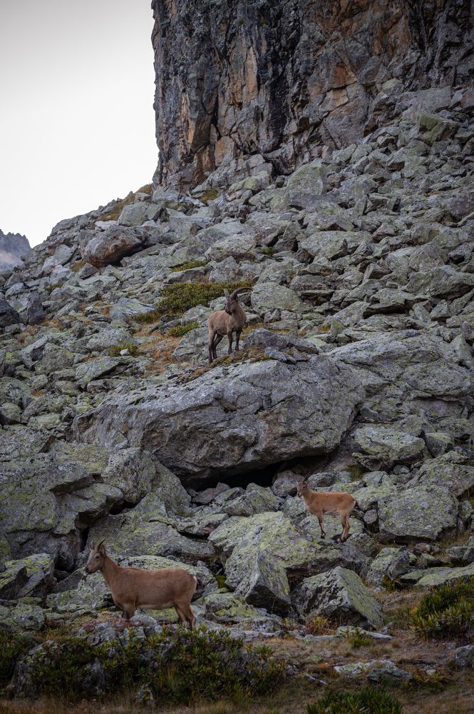 Photograph by Изабелла