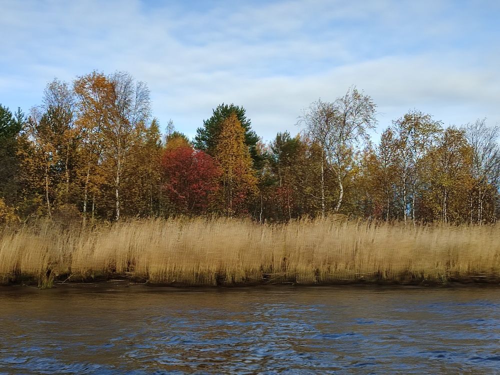 Photograph by Виктор Бута