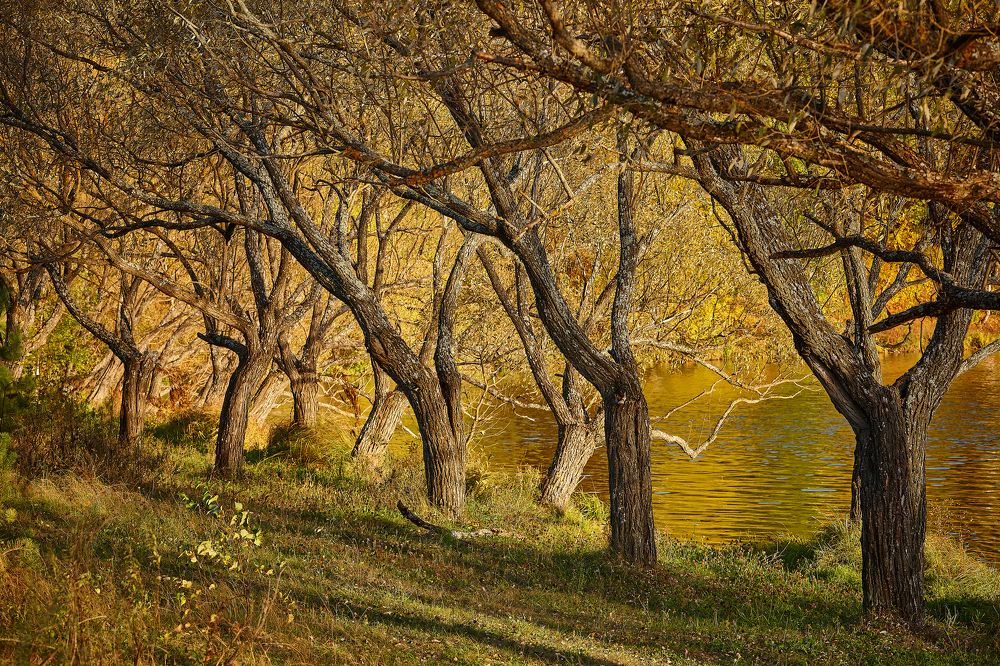ПРУД У СТАРОЙ СЕЛИ