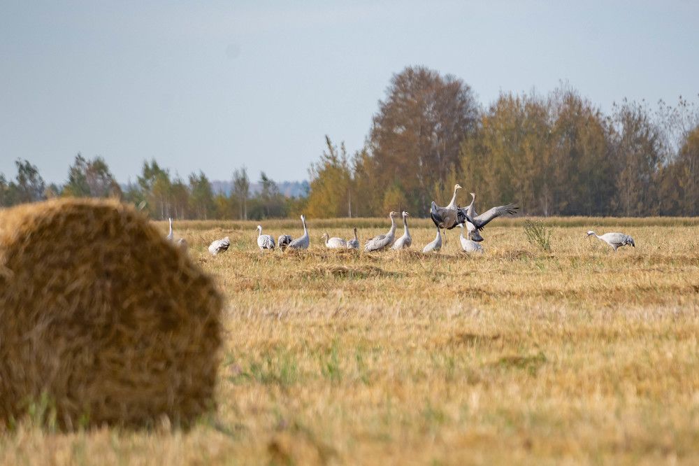 Photograph by Александр Захаров