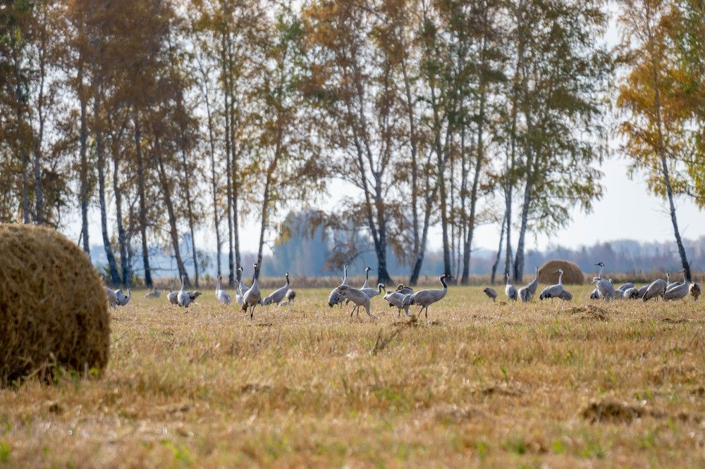 Photograph by Александр Захаров
