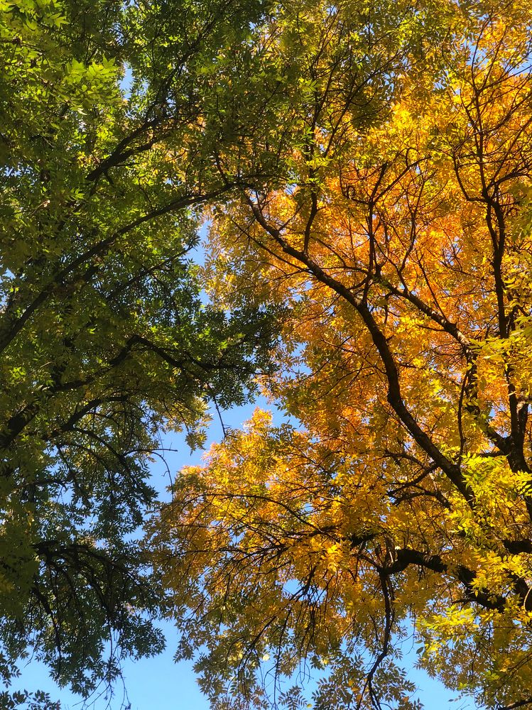 Photograph by Людмила Евстратова