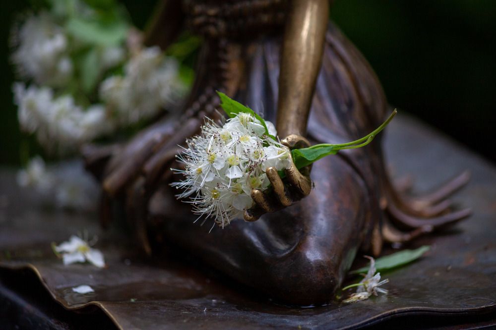 Photograph by Вячеслав Шуплецов