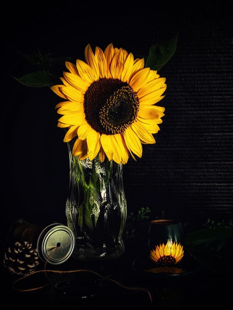 Photograph by Shaila Mahbub