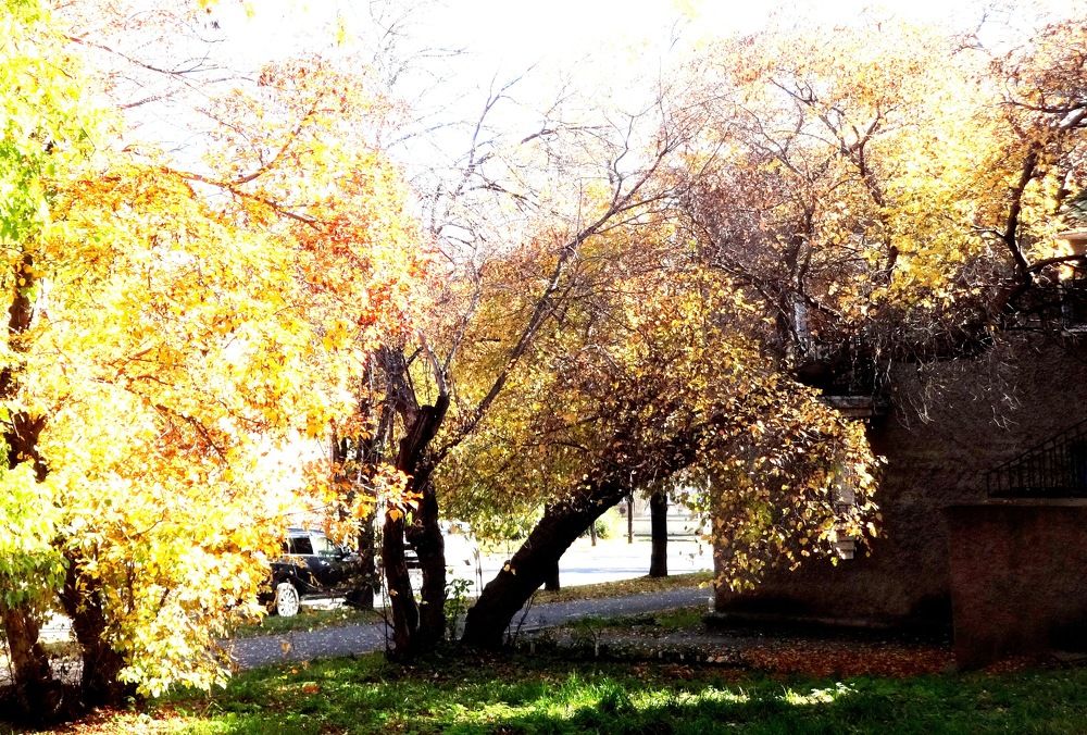 Photograph by Сергей Хвостовец