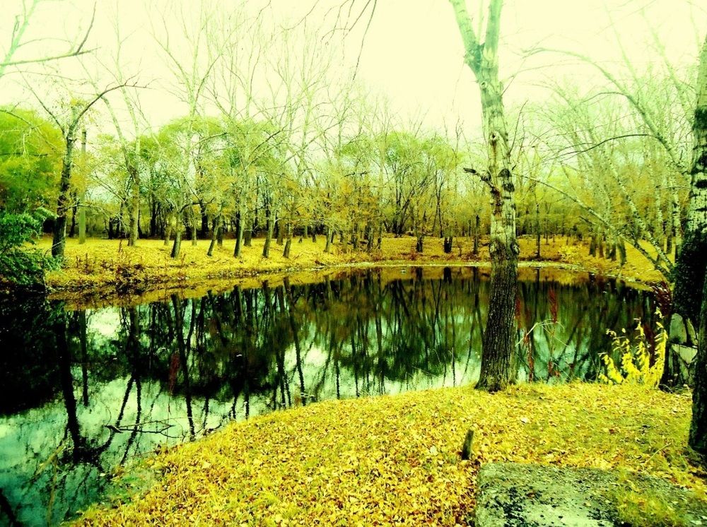 Photograph by Сергей Хвостовец