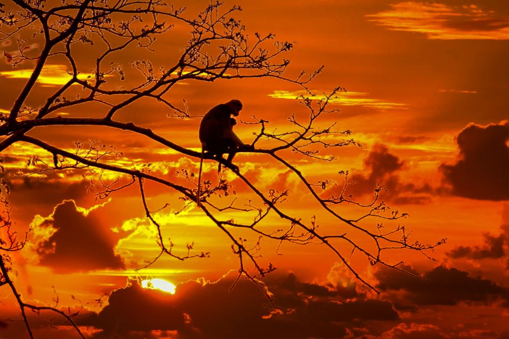 Photograph by Hà Thạnh