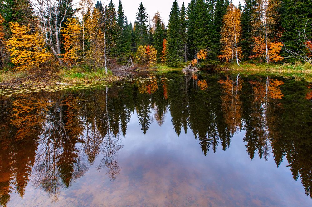 Photograph by Толяныч