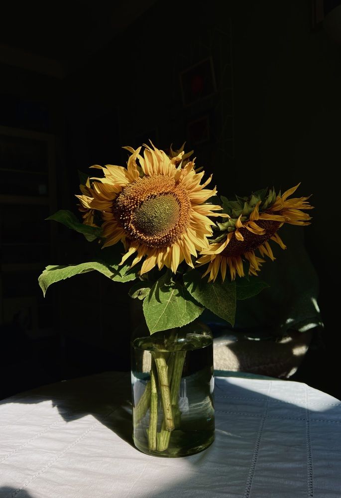 Photograph by Pavlova Maria