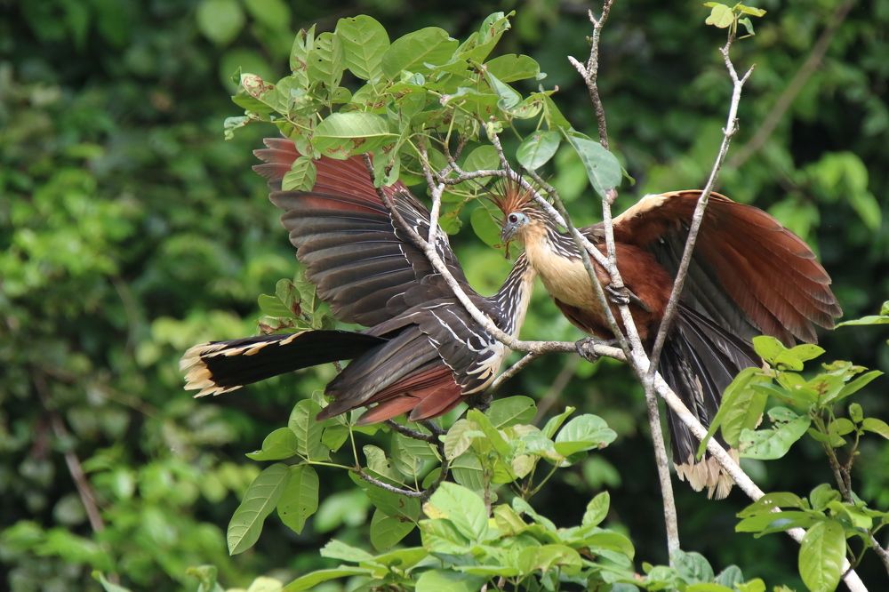 Photograph by Валентина Лопаткина