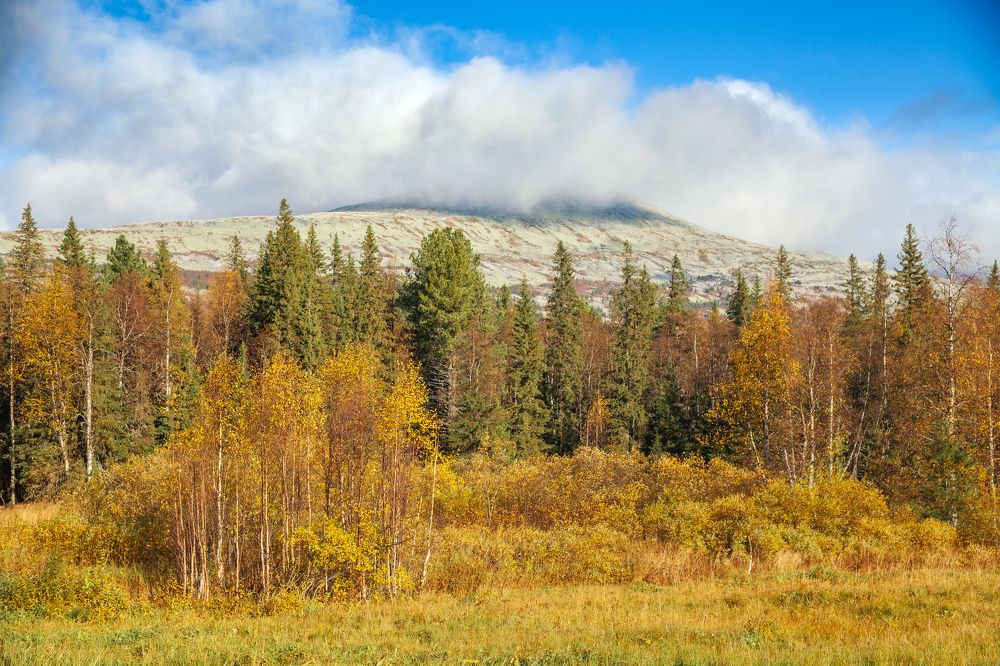 Photograph by Евгений Москвин