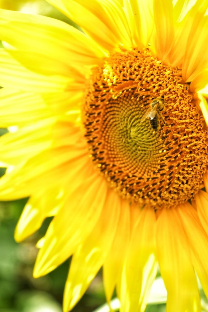 Photograph by Олеся Бронзова