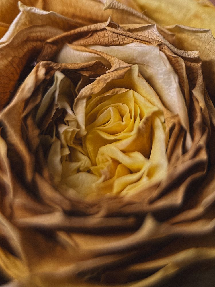 Photograph by Анна Нуруллина