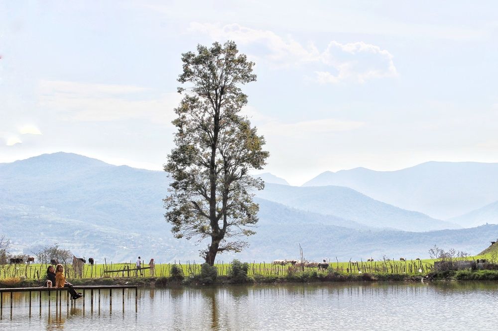 Photograph by Mina Ghasemifard