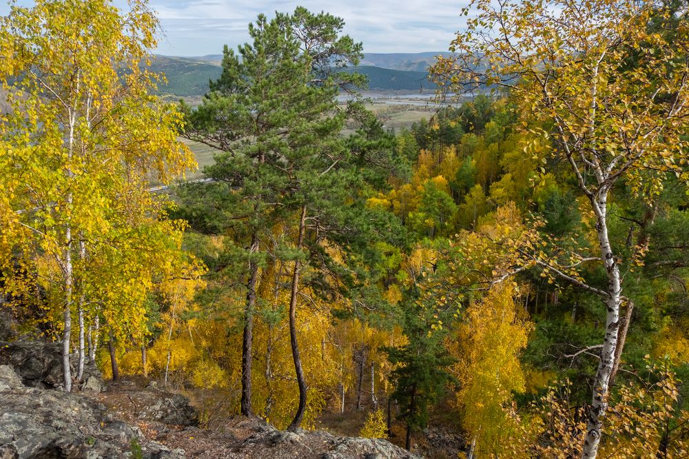 Фотография автора Андрей Ильков