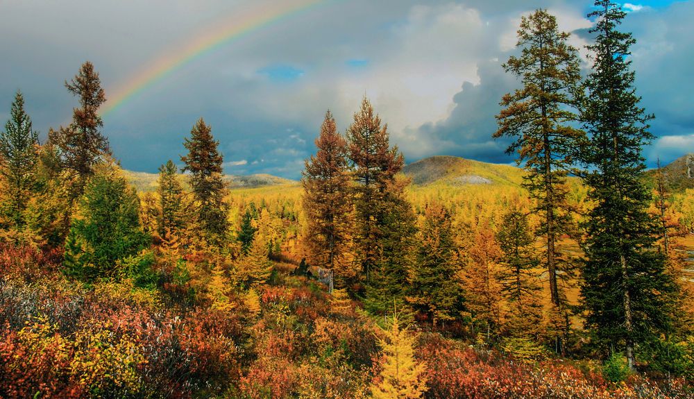 Photograph by Юрий Борик