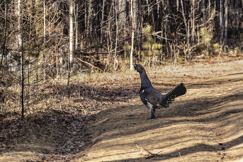 Photograph by Юрий Борик