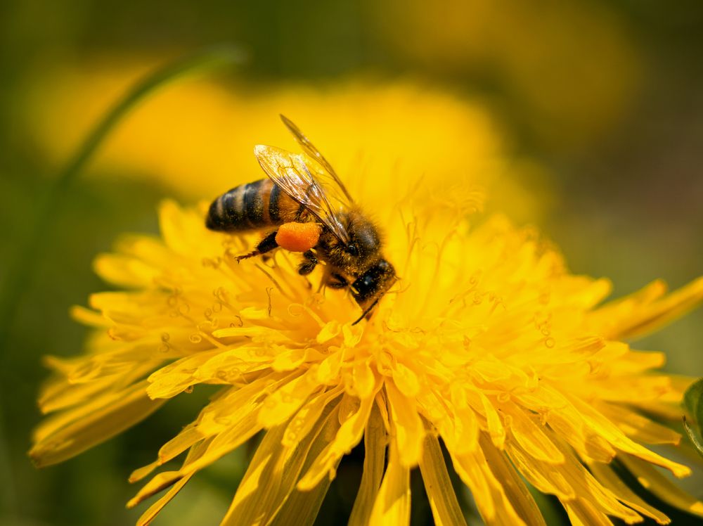 Photograph by Елена Зимацкая