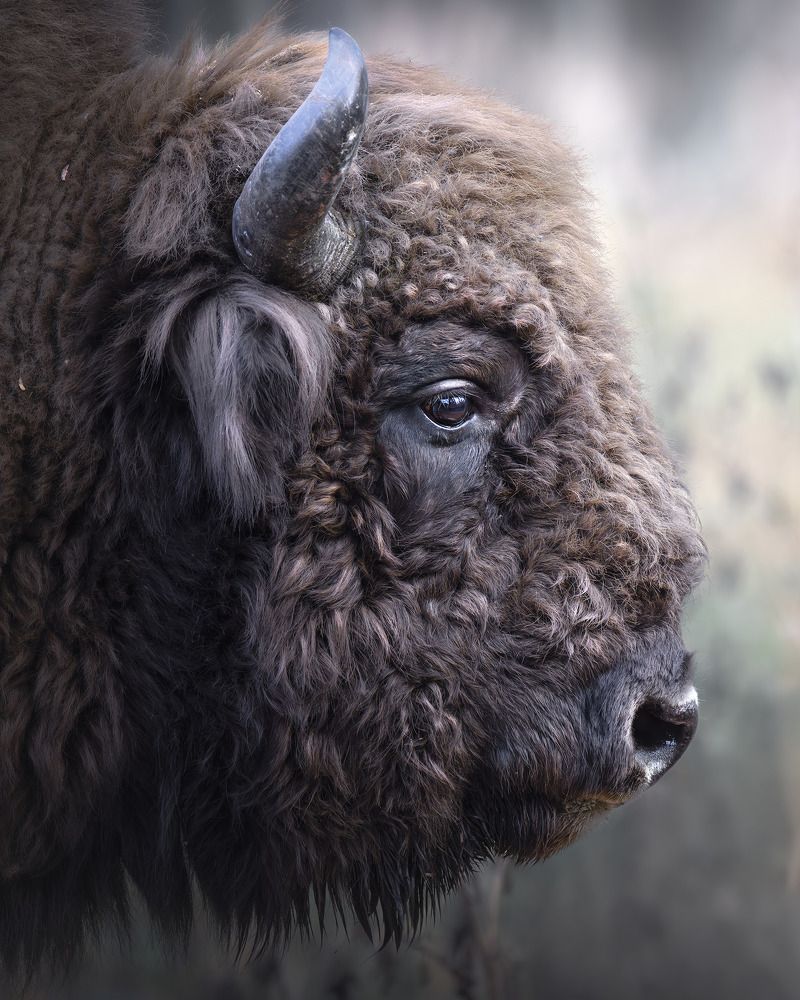 Фотография автора Поляков Михаил