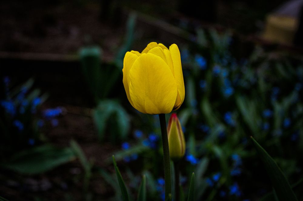 Photograph by Кристина Полякова